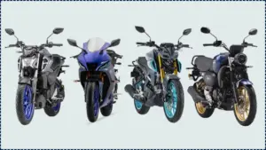 Looking for Budget Bikes